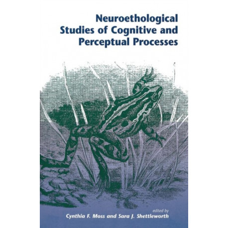 Neuroethological Studies Of Cognitive And Perceptual Processes