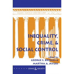 Inequality, Crime, And Social Control