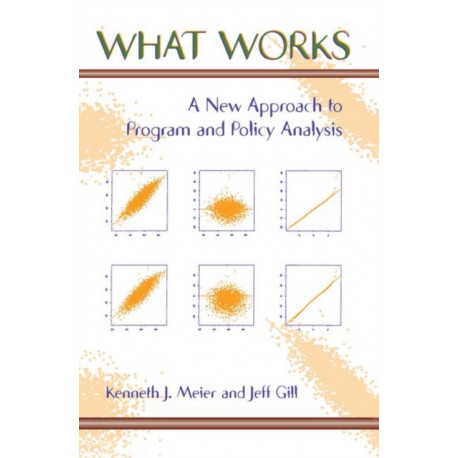 What Works: A New Approach To Program And Policy Analysis