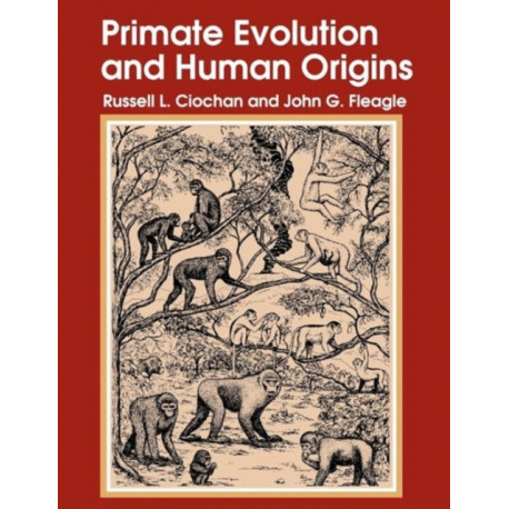 Primate Evolution and Human Origins