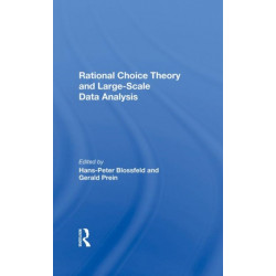 Rational Choice Theory And Large-Scale Data Analysis