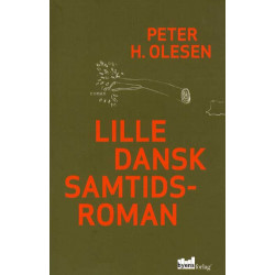 Lille dansk samtidsroman