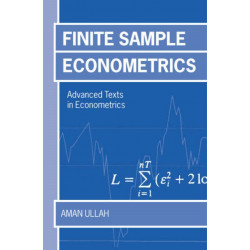 Finite Sample Econometrics
