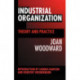 Industrial Organization: Theory and Practice