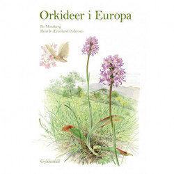 Orkidéer i Europa