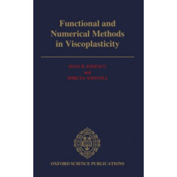 Functional and Numerical Methods in Viscoplasticity