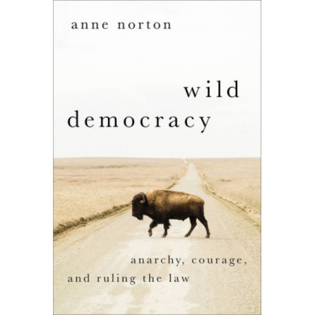 Wild Democracy: Anarchy, Courage, and Ruling the Law