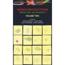 Neuroconstructivism - II: Perspectives and Prospects