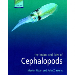 The Brains and Lives of Cephalopods