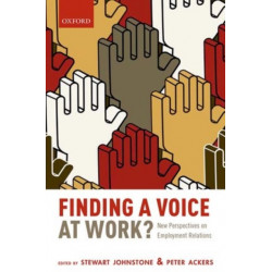 Finding a Voice at Work?: New Perspectives on Employment Relations