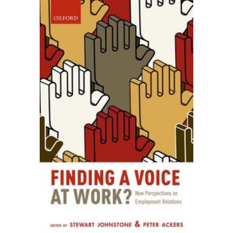 Finding a Voice at Work?: New Perspectives on Employment Relations
