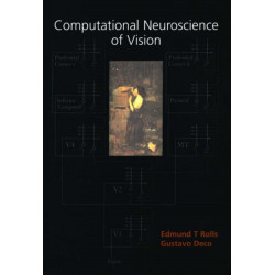 Computational Neuroscience of Vision