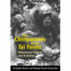 The Chimpanzees of the Tai Forest: Behavioural Ecology and Evolution