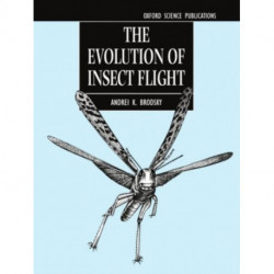The Evolution of Insect Flight