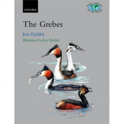The Grebes: Podicipedidae