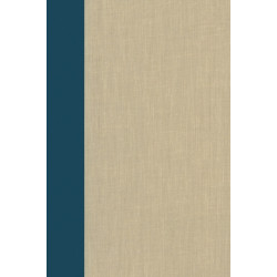 Terrorism Documents of International and Local Control: Volume 95