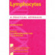 Lymphocytes: A Practical Approach