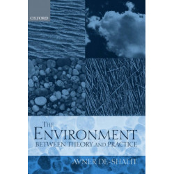 The Environment Between Theory and Practice