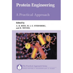 Protein Engineering: A Practical Approach
