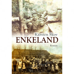Enkeland: roman