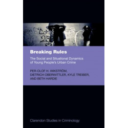 Breaking Rules: The Social and Situational Dynamics of Young People's Urban Crime