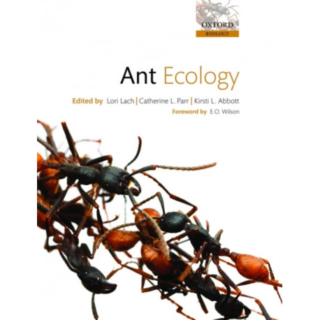 Ant Ecology