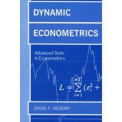 Dynamic Econometrics