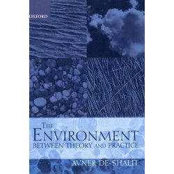 The Environment Between Theory and Practice