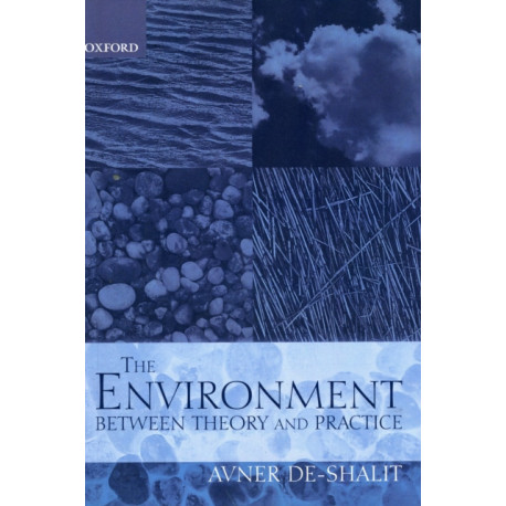 The Environment Between Theory and Practice