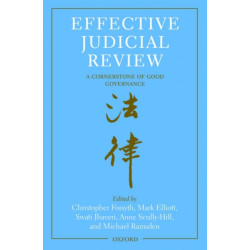 Effective Judicial Review: A Cornerstone of Good Governance