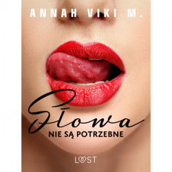 Słowa nie są potrzebne – opowiadanie erotyczne