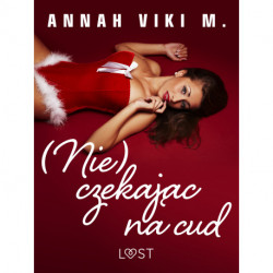 (Nie) czekając na cud – świąteczny romans erotyczny