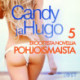 Candy ja Hugo - 5 eroottista novellia Pohjoismaista