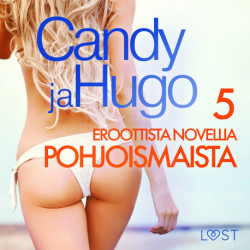 Candy ja Hugo - 5 eroottista novellia Pohjoismaista