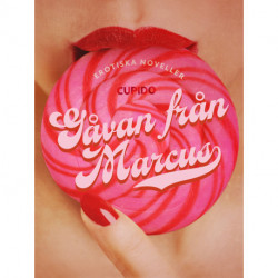 Gåvan från Marcus - erotiska noveller