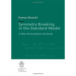 Symmetry Breaking in the Standard Model: A Non-Perturbative Outlook