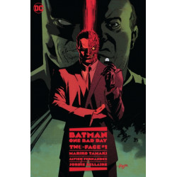Batman: One Bad Day: Two-Face