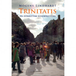 Trinitatis: en homiletisk rejseberetning