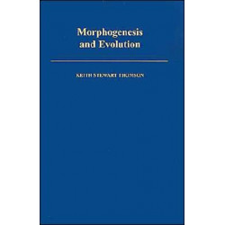 Morphogenesis and Evolution