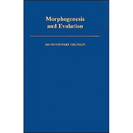 Morphogenesis and Evolution