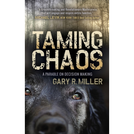 Taming Chaos: A Parable on Decision Making