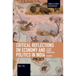 Critical Reflections on Economy and Politics in India. Volume 2: A Class Theory Perspective