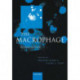 The Macrophage