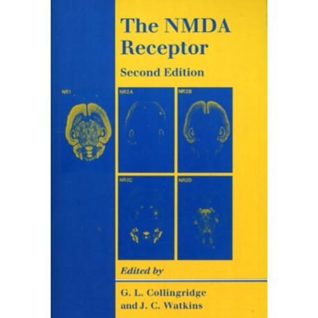 The NMDA Receptor