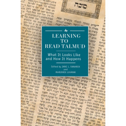 Learning to Read Talmud: What It Looks Like and How It Happens