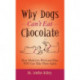 Why Can't Dogs Eat Chocolate: How Medicines Work and How YOU Can Take Them Safely