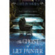 The Ghost of Lily Painter