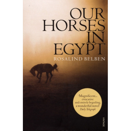 Our Horses in Egypt