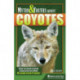 Myths & Truths About Coyotes: What You Need to Know About America's Most Misunderstood Predator