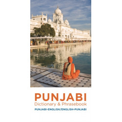 Punjabi-English/English-Punjabi Dictionary & Phrasebook
